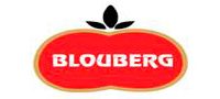 Blouberg