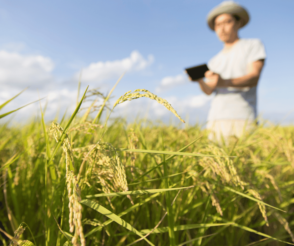conectividade em áreas remotas